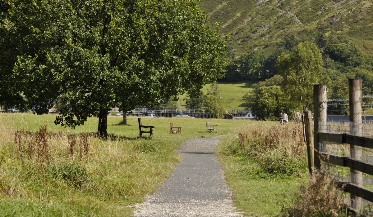 Planning a Circular Walk Through Ancient Woodland