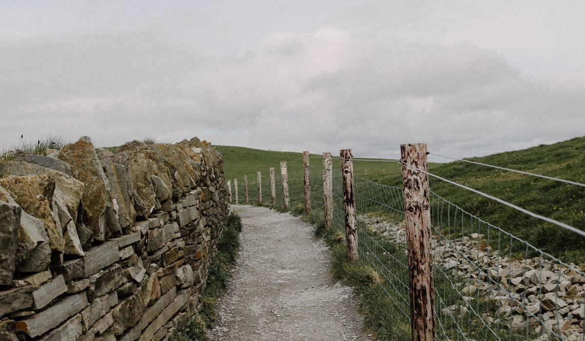 Understanding the Countryside Stewardship Scheme in England