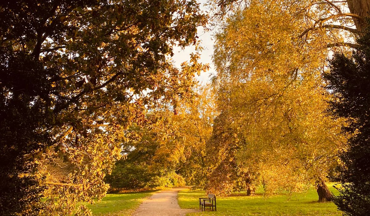 Why Deadwood Matters for Woodland Biodiversity